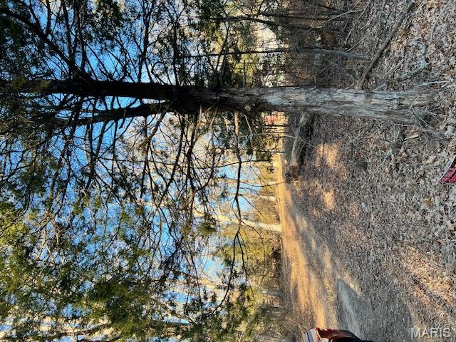 10827 Scout Camp Road Bismarck, MO 63624 - Photo 7 of 23