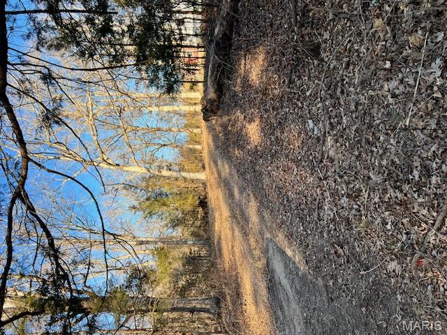 10827 Scout Camp Road Bismarck, MO 63624 - Photo 8 of 23