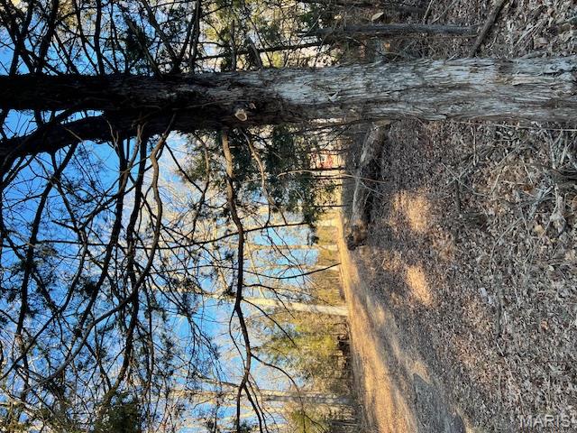 10827 Scout Camp Road Bismarck, MO 63624 - Photo 9 of 23