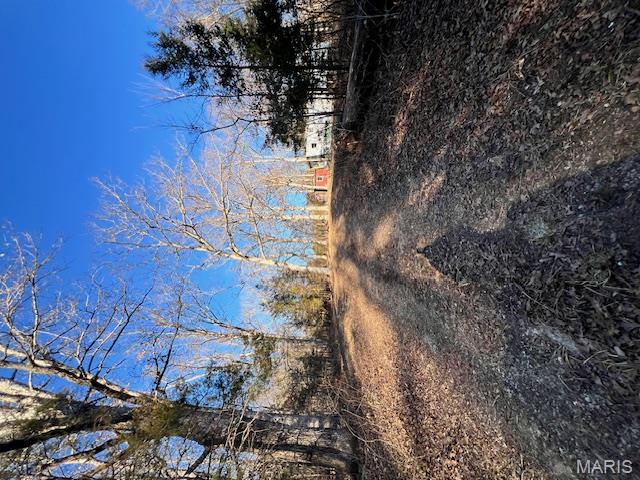 10827 Scout Camp Road Bismarck, MO 63624 - Photo 10 of 23