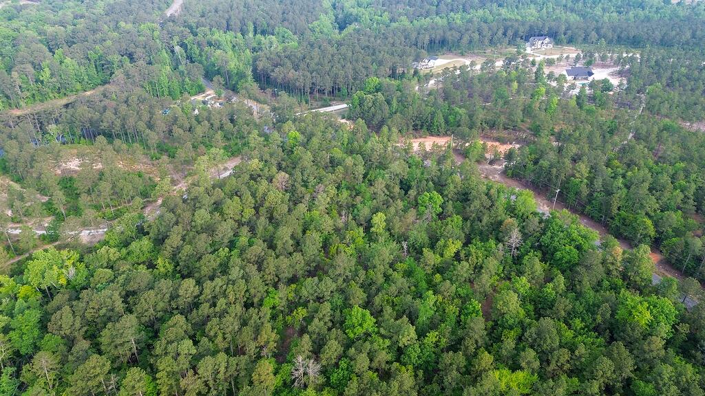 0 Mt Zion Road, Unit 5 Trenton, SC 29847 - Photo 10 of 26
