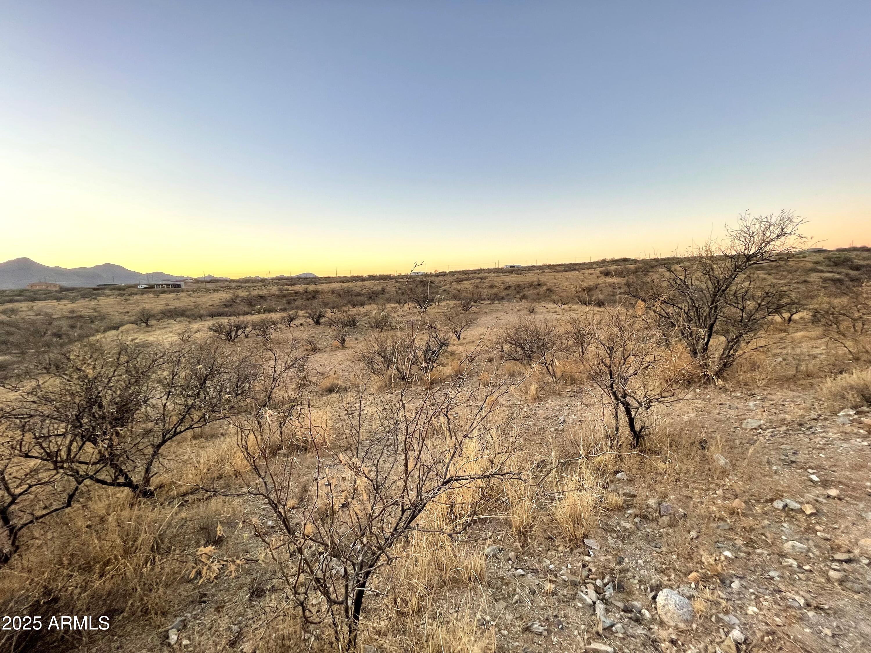 a view of a dry yard with mountains in the background