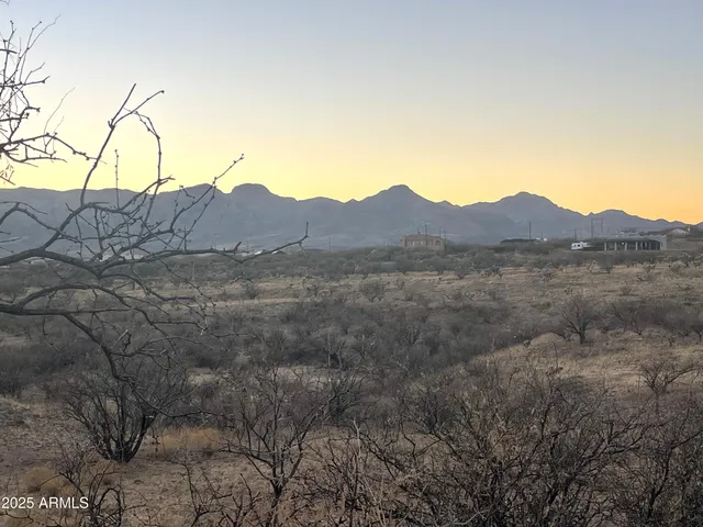 a view of a dry yard with trees