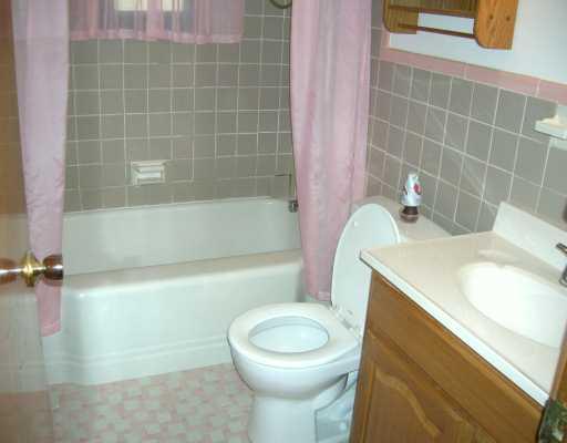 576 River Ridge Road Liberty, PA 15133 - Photo 4 of 8 Master Bath/Spa.