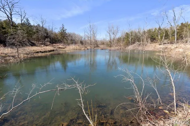 $750,000 | 2480 County Road 317, Ava, MO 65608