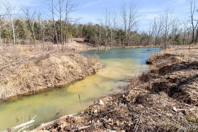 $750,000 | 2480 County Road 317, Ava, MO 65608