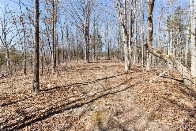 $750,000 | 2480 County Road 317, Ava, MO 65608