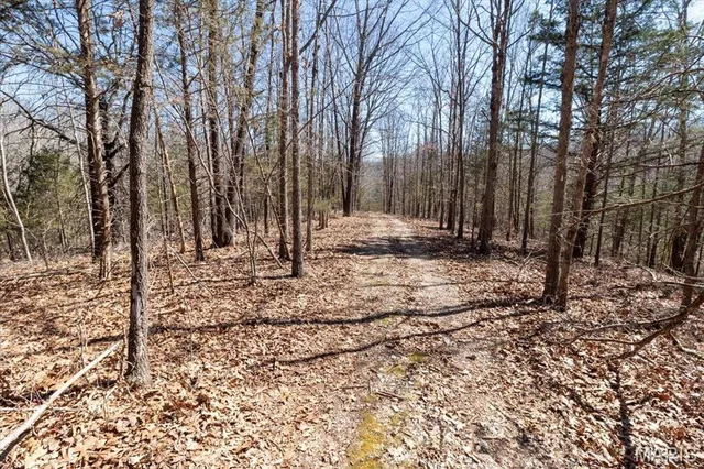 $750,000 | 2480 County Road 317, Ava, MO 65608