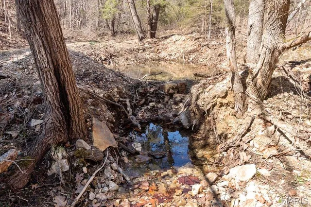 $750,000 | 2480 County Road 317, Ava, MO 65608