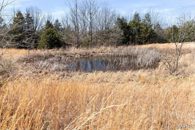 $750,000 | 2480 County Road 317, Ava, MO 65608