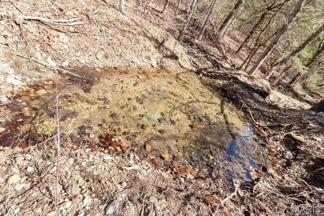 $750,000 | 2480 County Road 317, Ava, MO 65608