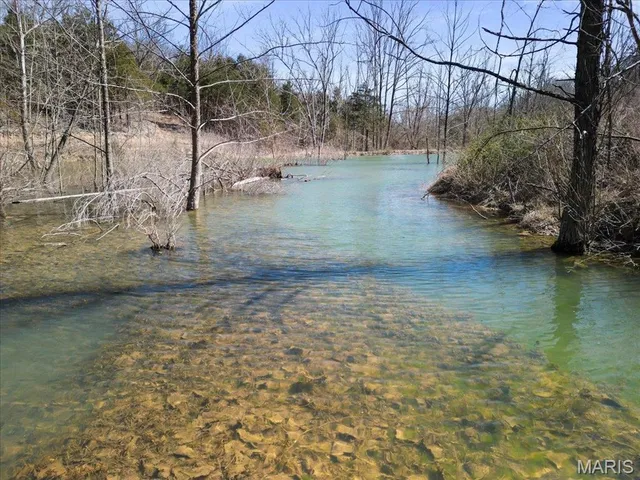 $750,000 | 2480 County Road 317, Ava, MO 65608