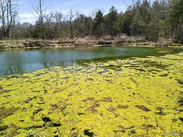 $750,000 | 2480 County Road 317, Ava, MO 65608