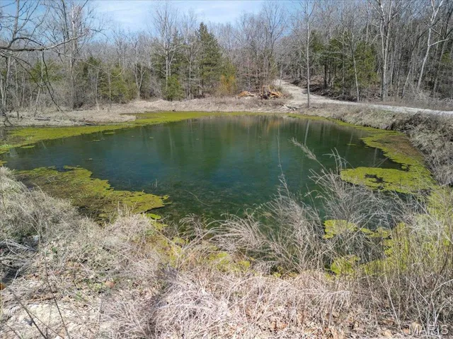 $750,000 | 2480 County Road 317, Ava, MO 65608