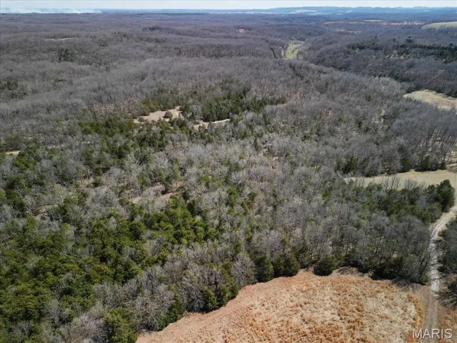 $750,000 | 2480 County Road 317, Ava, MO 65608