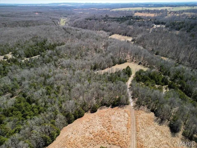 $750,000 | 2480 County Road 317, Ava, MO 65608