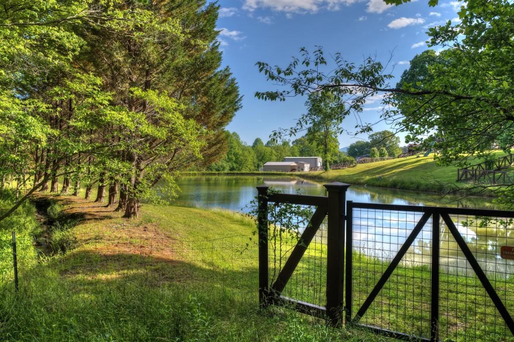 8.52 Ac Mcnelley Road Morganton, GA 30560 - Photo 10 of 47