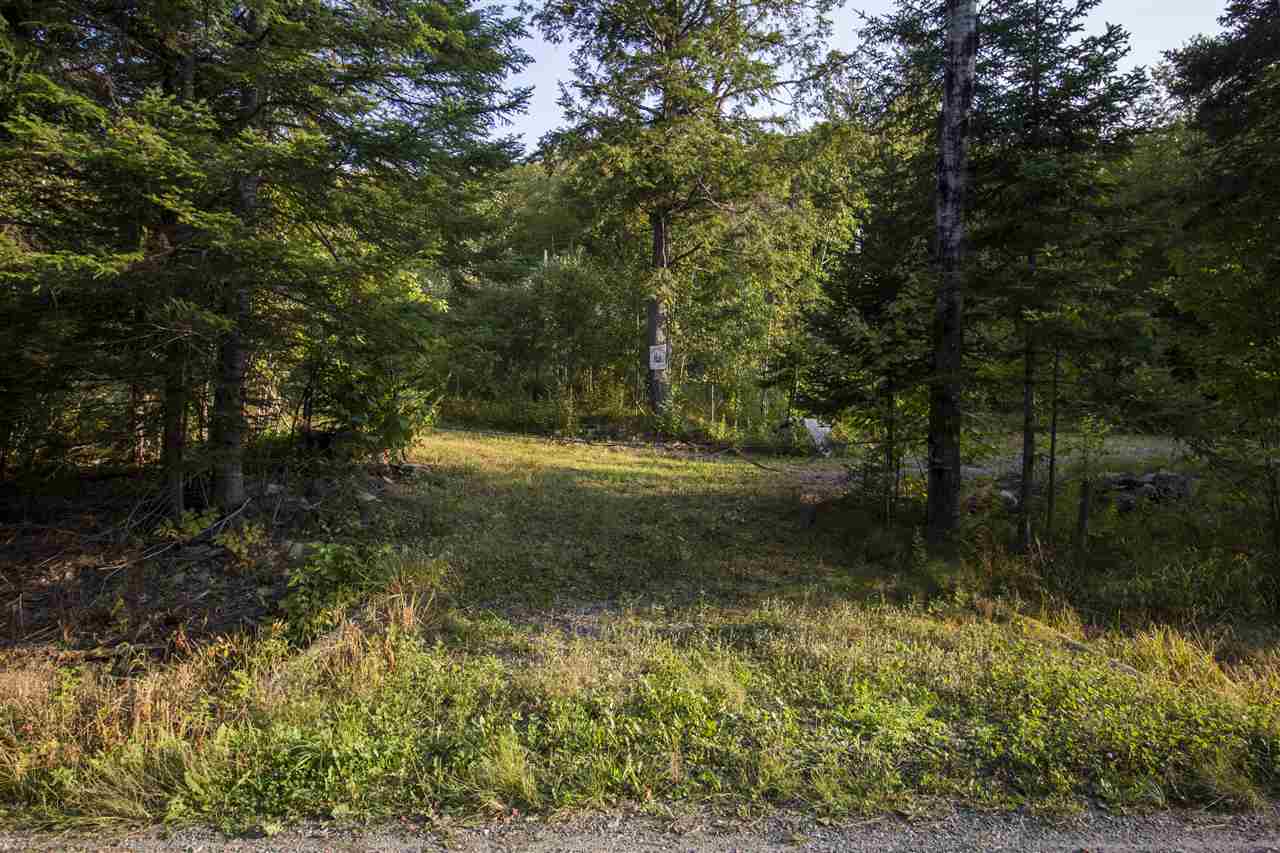 691 Hill Road Dummer, NH 03588 - Photo 7 of 13 Gallery Image 7