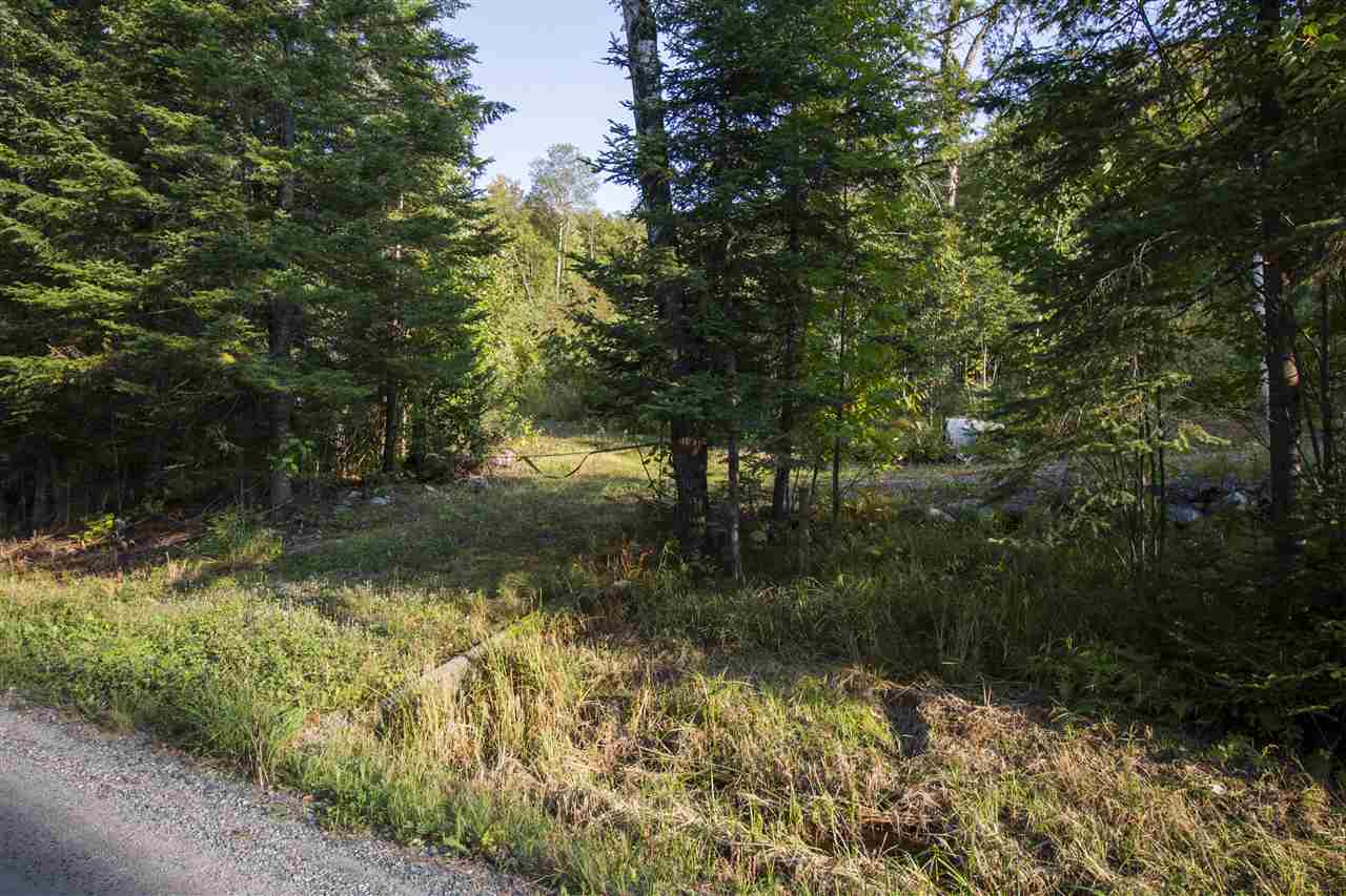 691 Hill Road Dummer, NH 03588 - Photo 10 of 13 Gallery Image 10