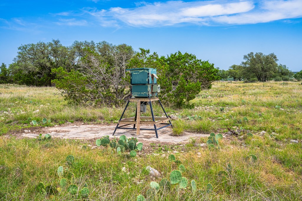 3526 Stapp Ranch Road Harper, TX 78631 - Photo 24 of 30 a view of a outdoor space