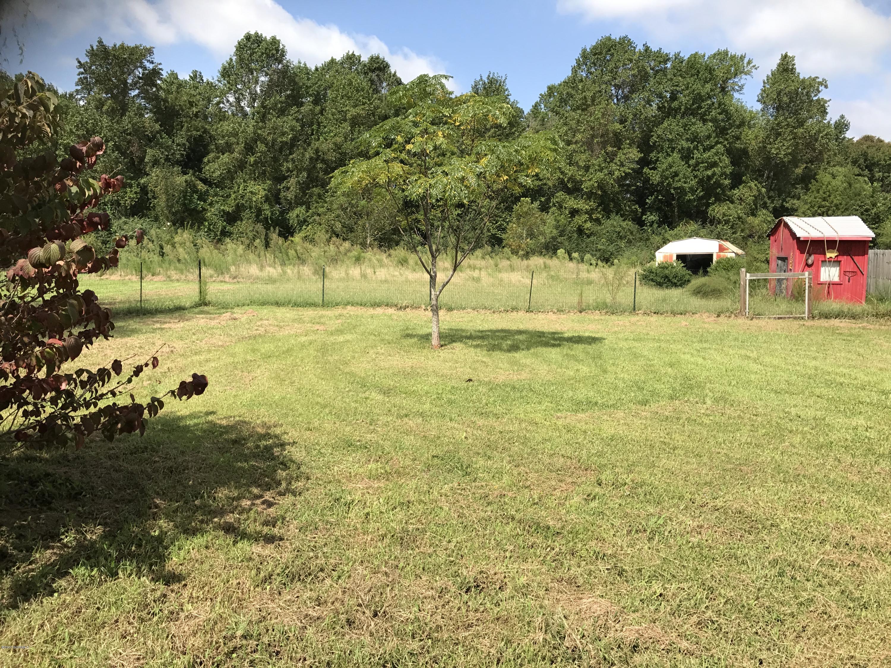 536 Rhodestown Road Jacksonville, NC 28540 - Photo 17 of 32 Backyard