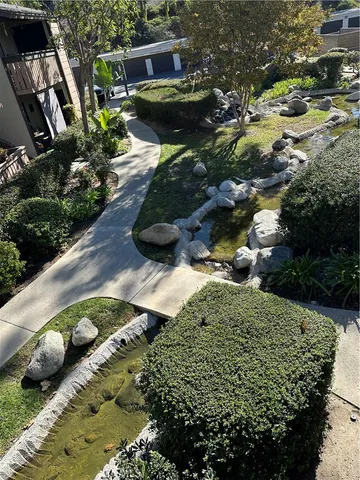 a view of a garden with plants