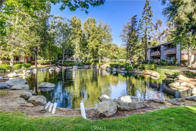 a body of water with a tree in the background