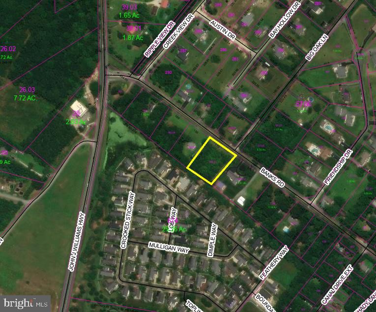 0 Banks Road Millsboro, DE 19966 - Photo 3 of 5 *Note approx. outline - Image provided by County