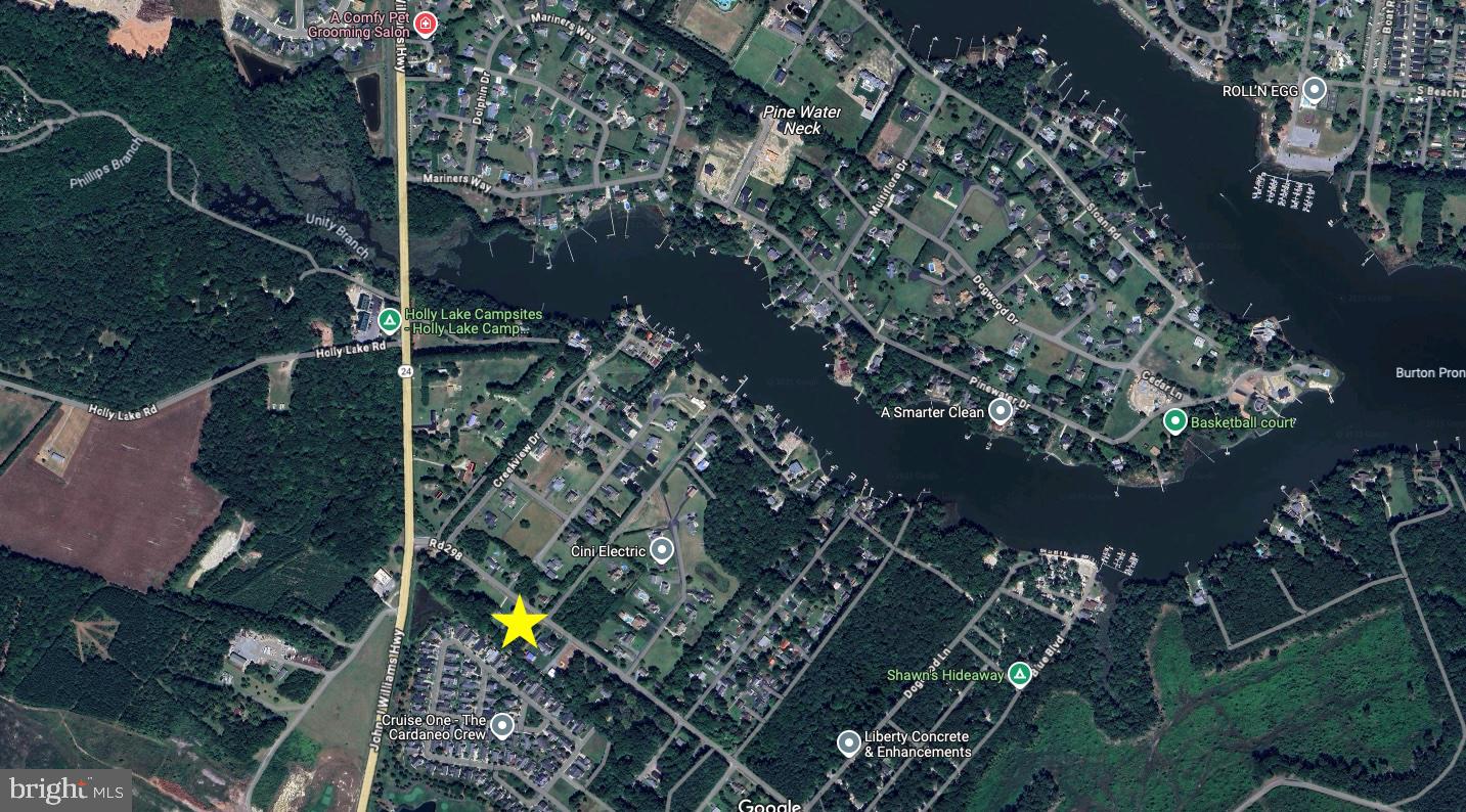 0 Banks Road Millsboro, DE 19966 - Photo 4 of 5 *Star marks lot location