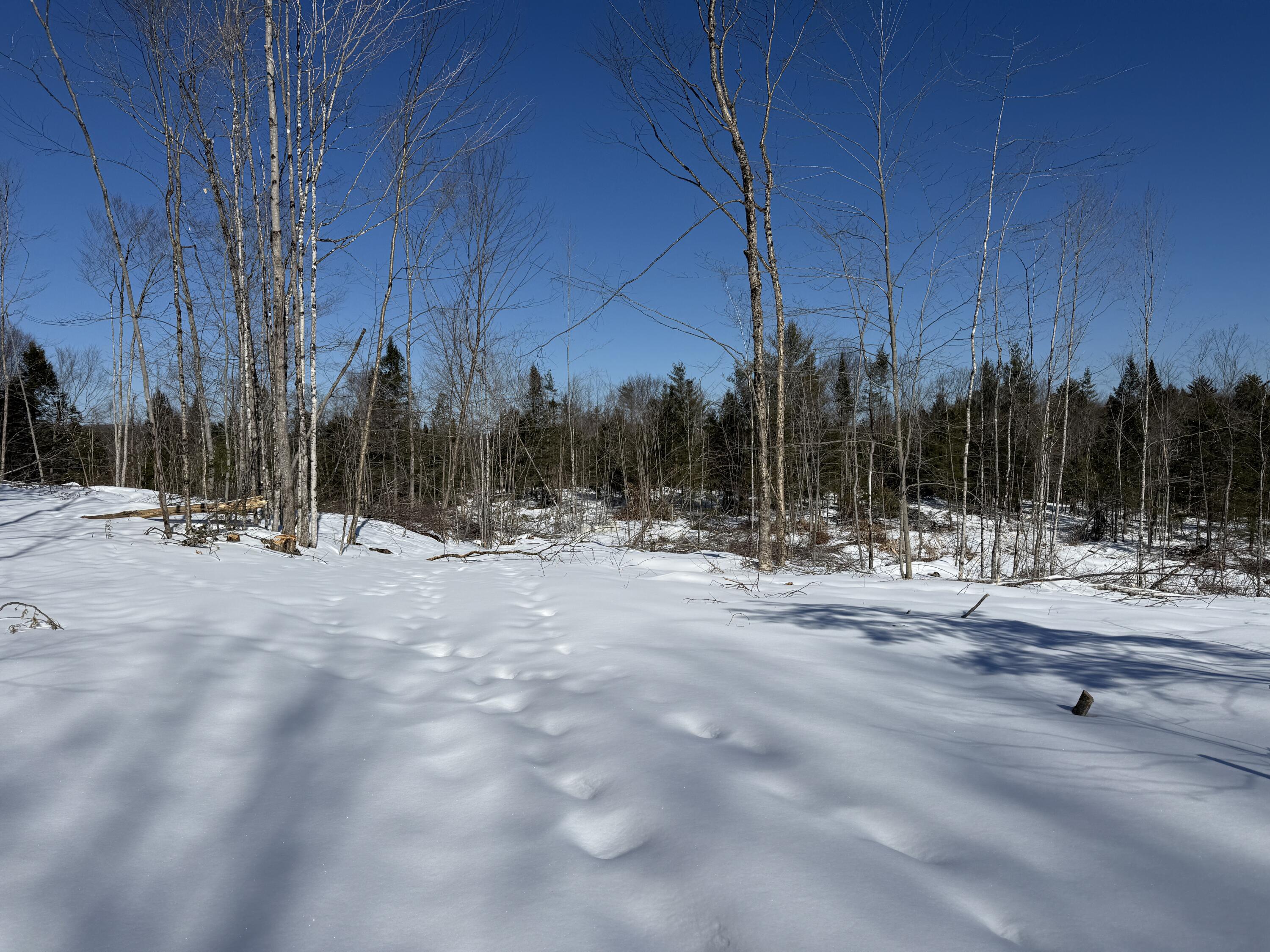 2-l 1 Off Bean Road Mercer, ME 04957 - Photo 11 of 14 IMG_5399