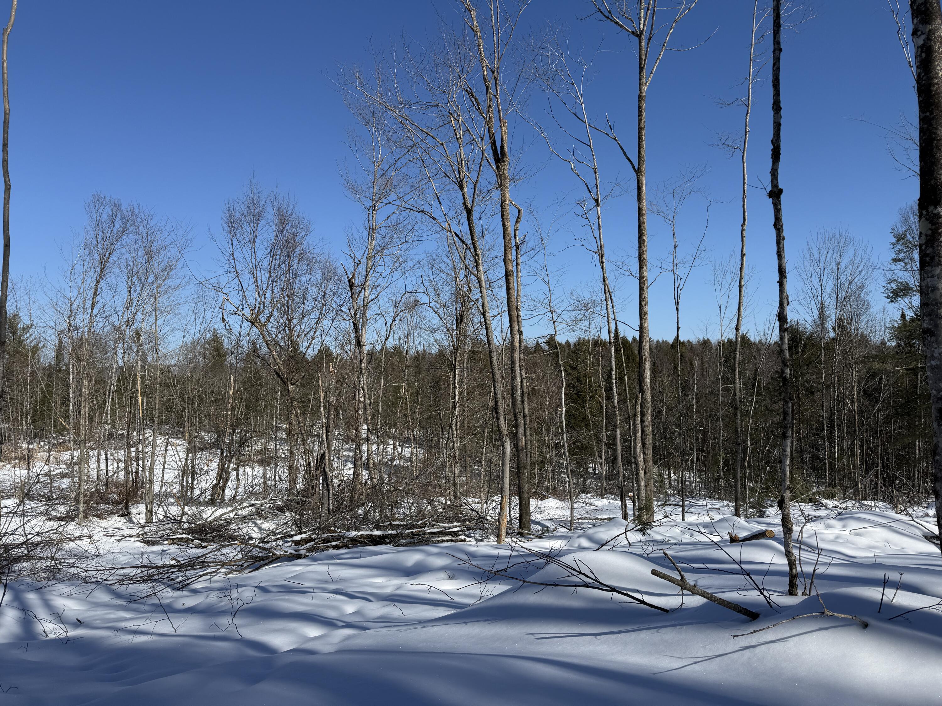 2-l 1 Off Bean Road Mercer, ME 04957 - Photo 14 of 14 IMG_5395