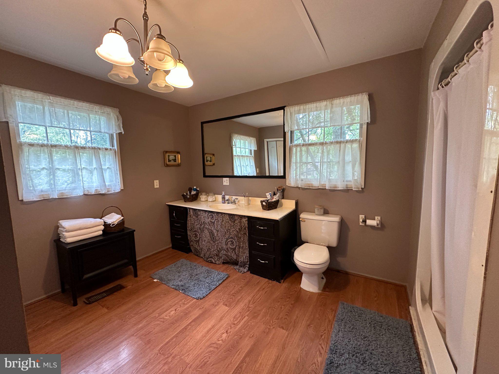 28403 Old Eden Road Eden, MD 21822 - Photo 42 of 46 a spacious bathroom with a double vanity sink a mirror a toilet a window and vanity