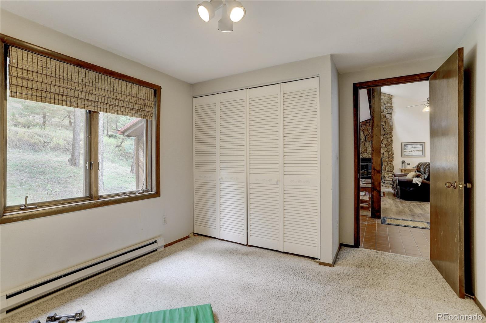 27961 Columbine Road Evergreen, CO 80439 - Photo 22 of 25 Gallery Image 22