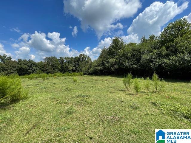 95 County Road, Unit 26 78 Wedowee, AL 36278 - Photo 6 of 10