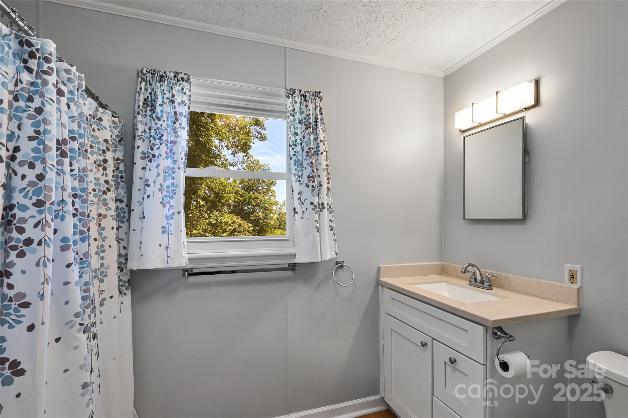 371 Heatherly Heights Road Saluda, NC 28773 - Photo 21 of 41