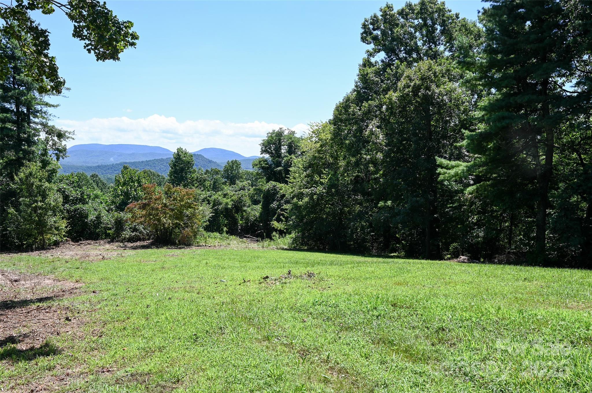 371 Heatherly Heights Road Saluda, NC 28773 - Photo 3 of 41