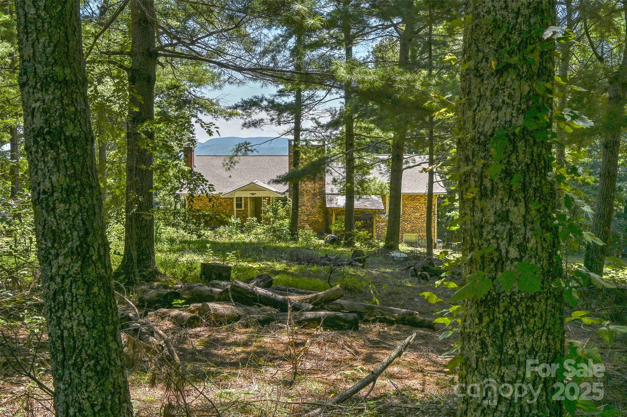 371 Heatherly Heights Road Saluda, NC 28773 - Photo 34 of 41