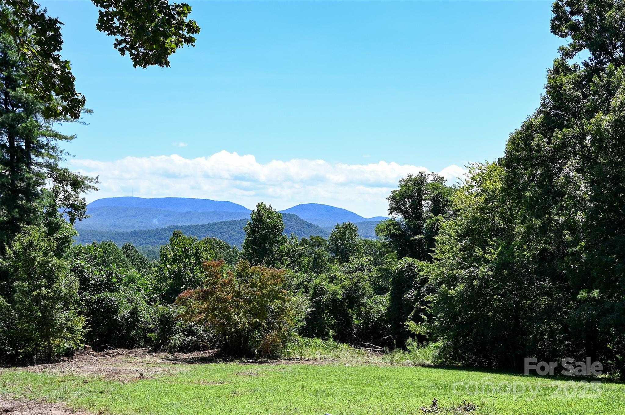 371 Heatherly Heights Road Saluda, NC 28773 - Photo 4 of 41