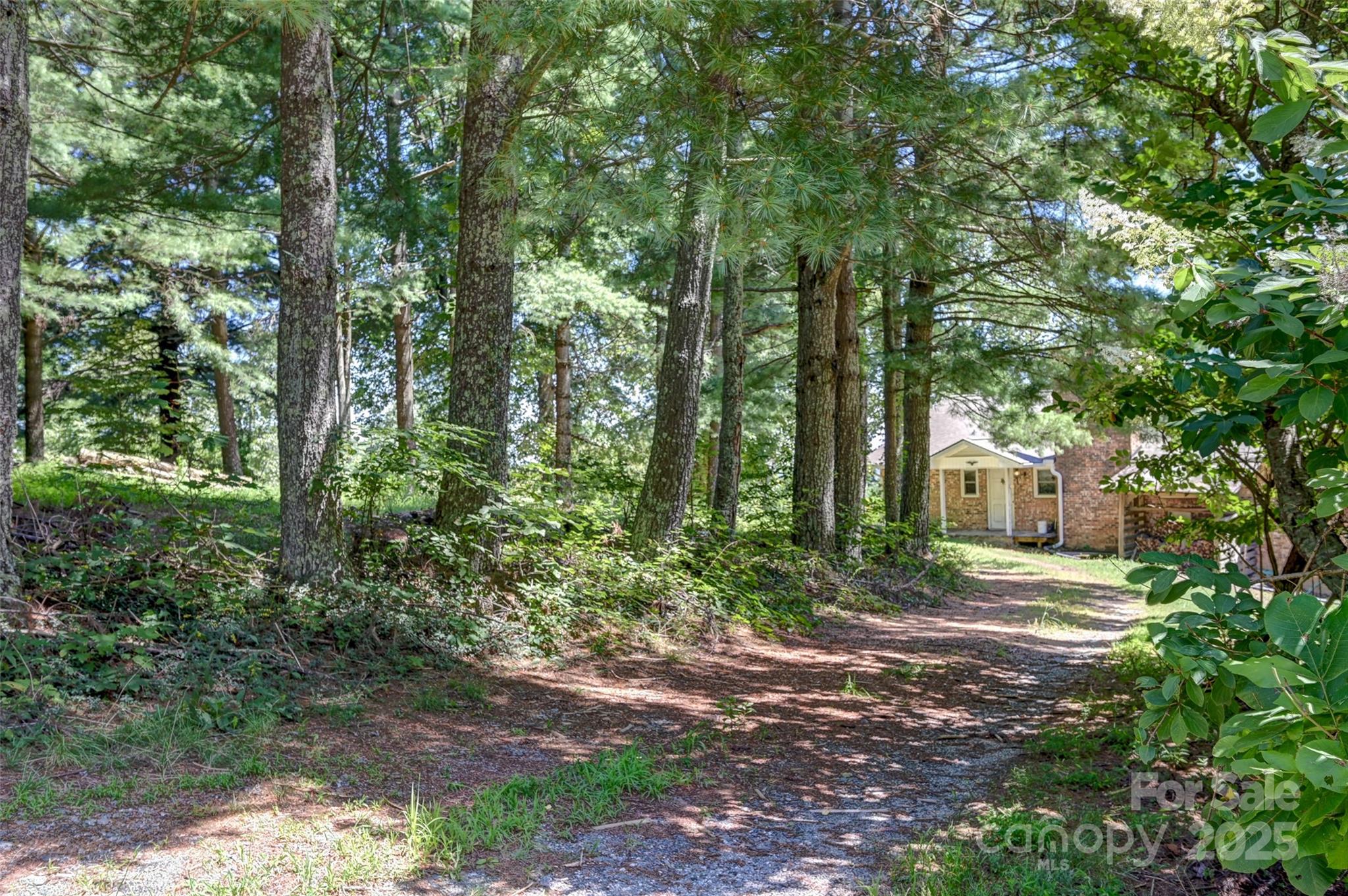 371 Heatherly Heights Road Saluda, NC 28773 - Photo 6 of 41