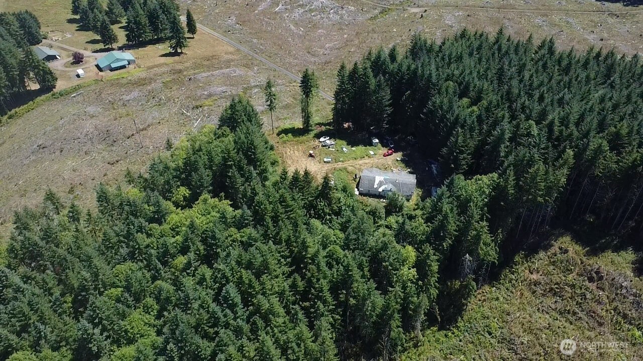 305 August Road, Unit 75 Onalaska, WA 98570 - Photo 12 of 21 a view of a yard with plants