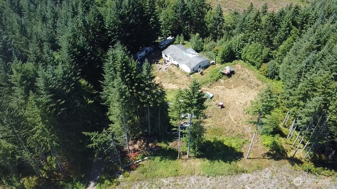 305 August Road, Unit 75 Onalaska, WA 98570 - Photo 2 of 21 a view of a tree with a yard