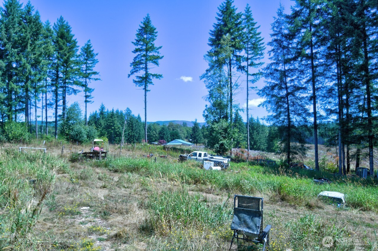 305 August Road, Unit 75 Onalaska, WA 98570 - Photo 3 of 21 a view of a backyard with plants and a bench