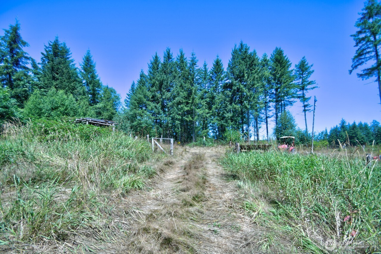 305 August Road, Unit 75 Onalaska, WA 98570 - Photo 4 of 21 a view of backyard with green space
