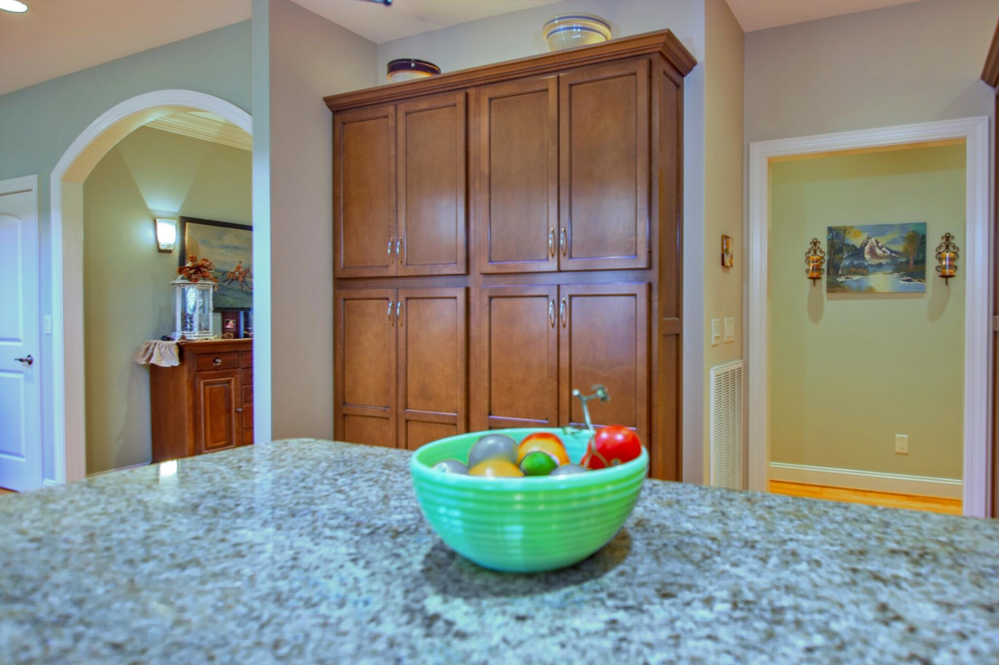 1347 Roaring Creek Road Dunlap, TN 37327 - Photo 11 of 89 Kitchen Pantry Cabinets