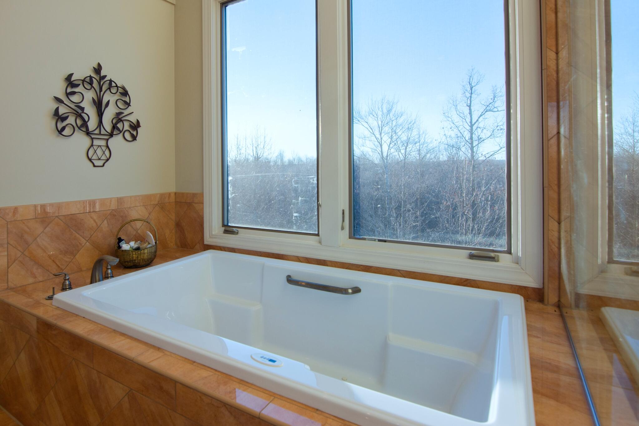 1347 Roaring Creek Road Dunlap, TN 37327 - Photo 24 of 89 Master Bath Soaking Tub View