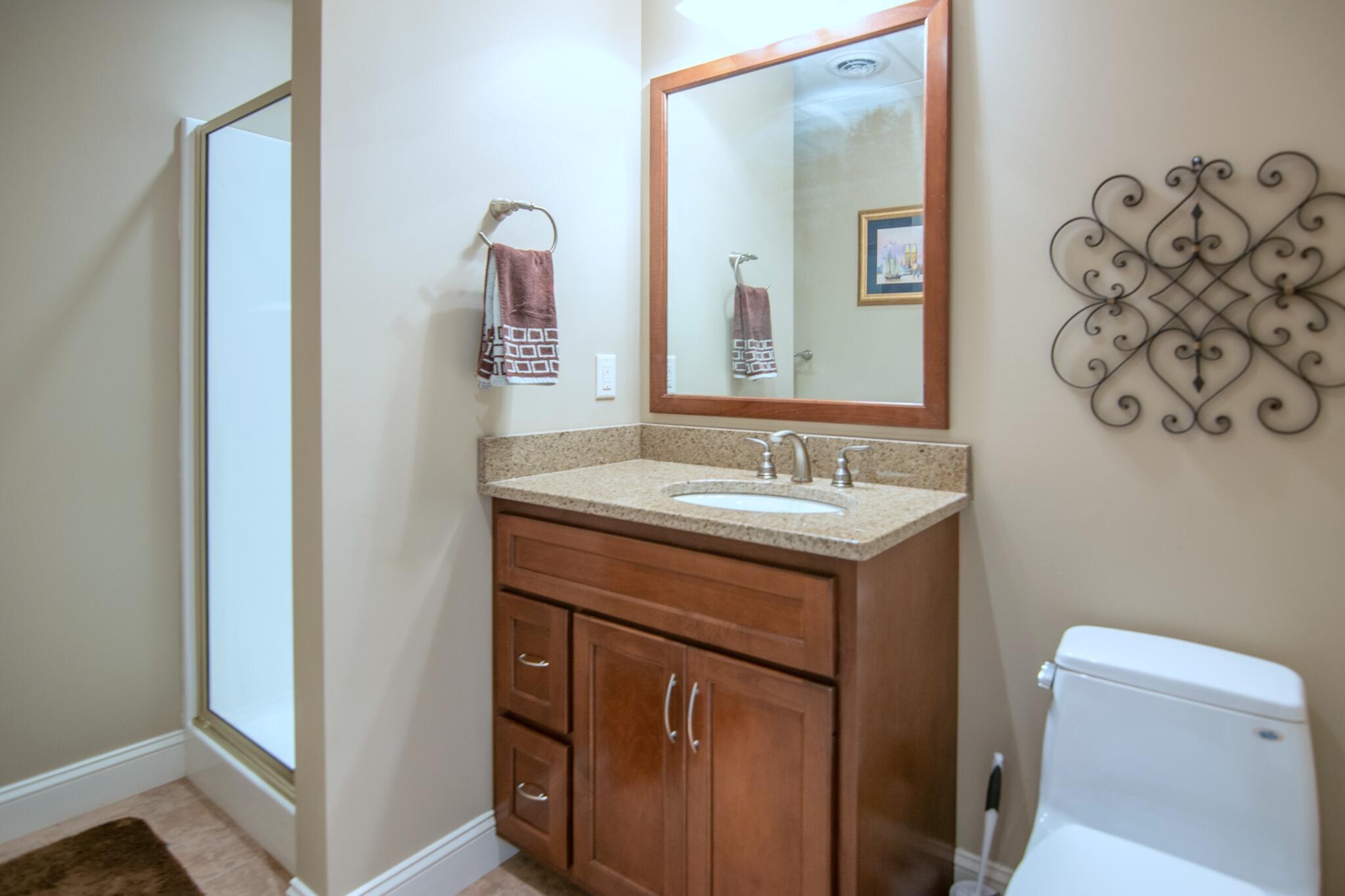 1347 Roaring Creek Road Dunlap, TN 37327 - Photo 43 of 89 Basement Full Bath