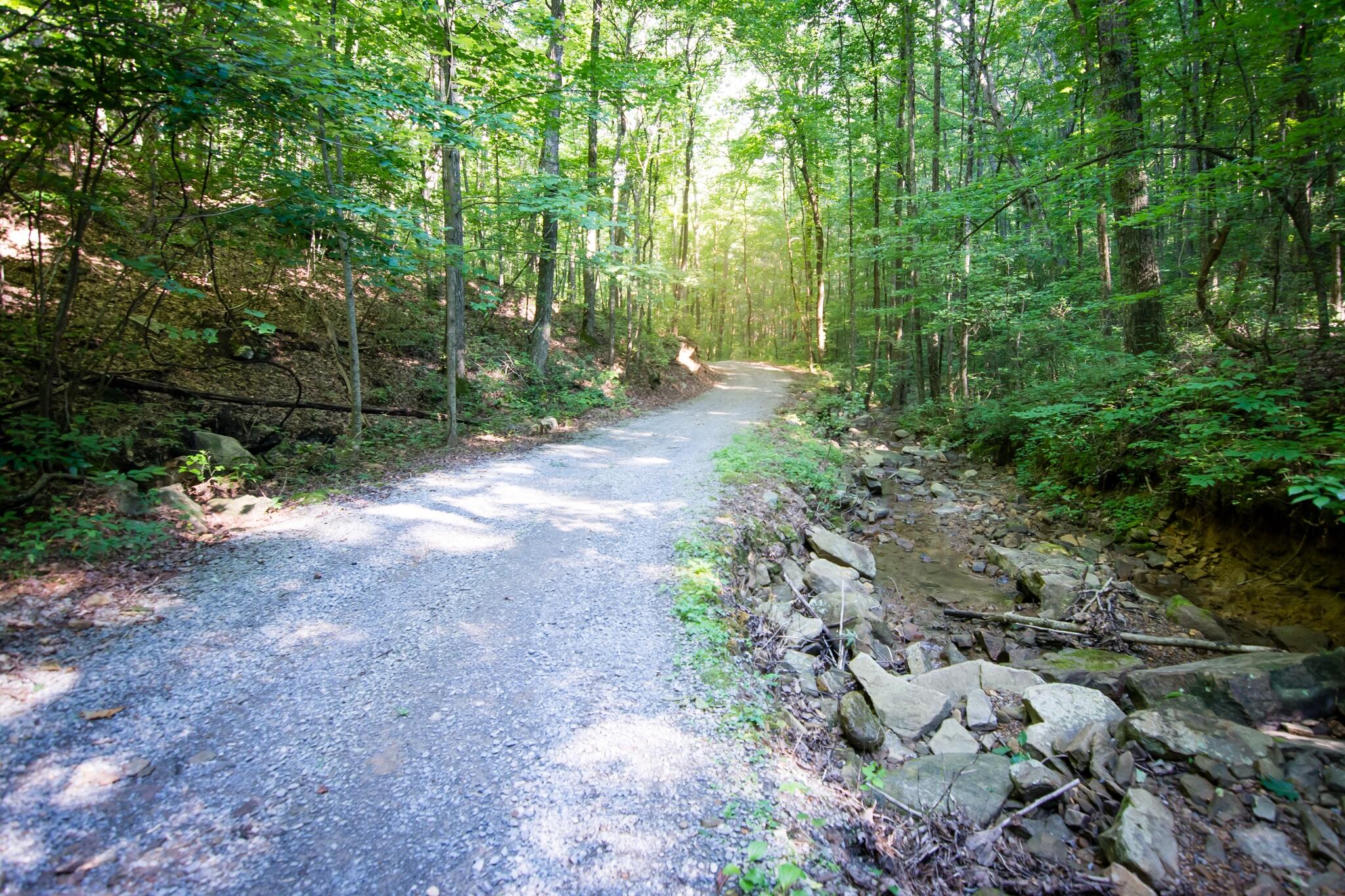1347 Roaring Creek Road Dunlap, TN 37327 - Photo 59 of 89 Big Falls Trail 2