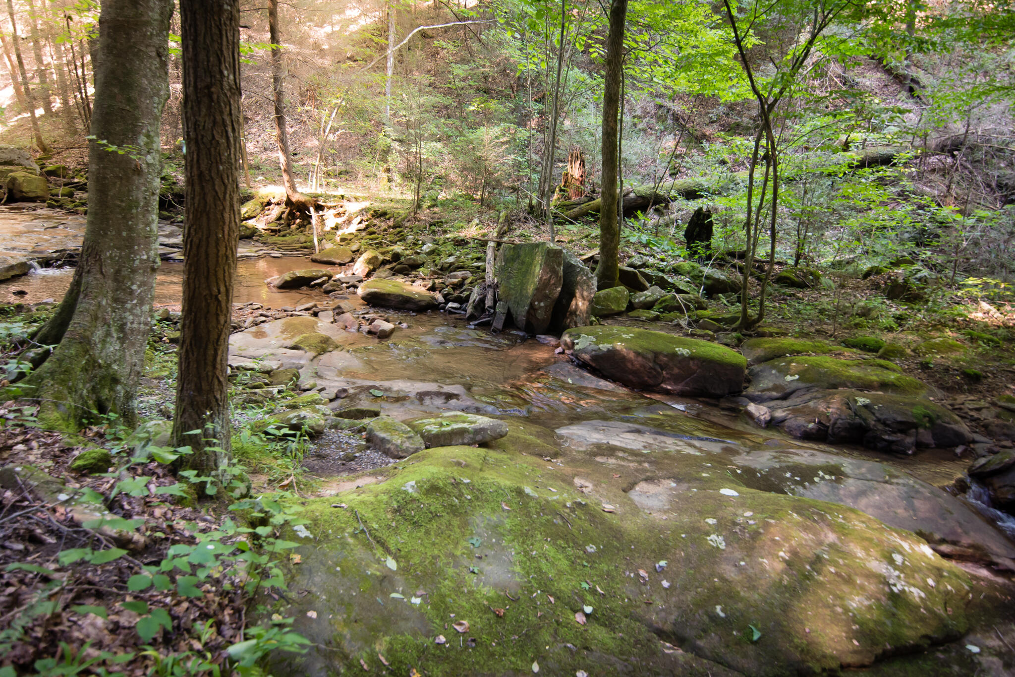 1347 Roaring Creek Road Dunlap, TN 37327 - Photo 60 of 89 Big Falls Creek 2