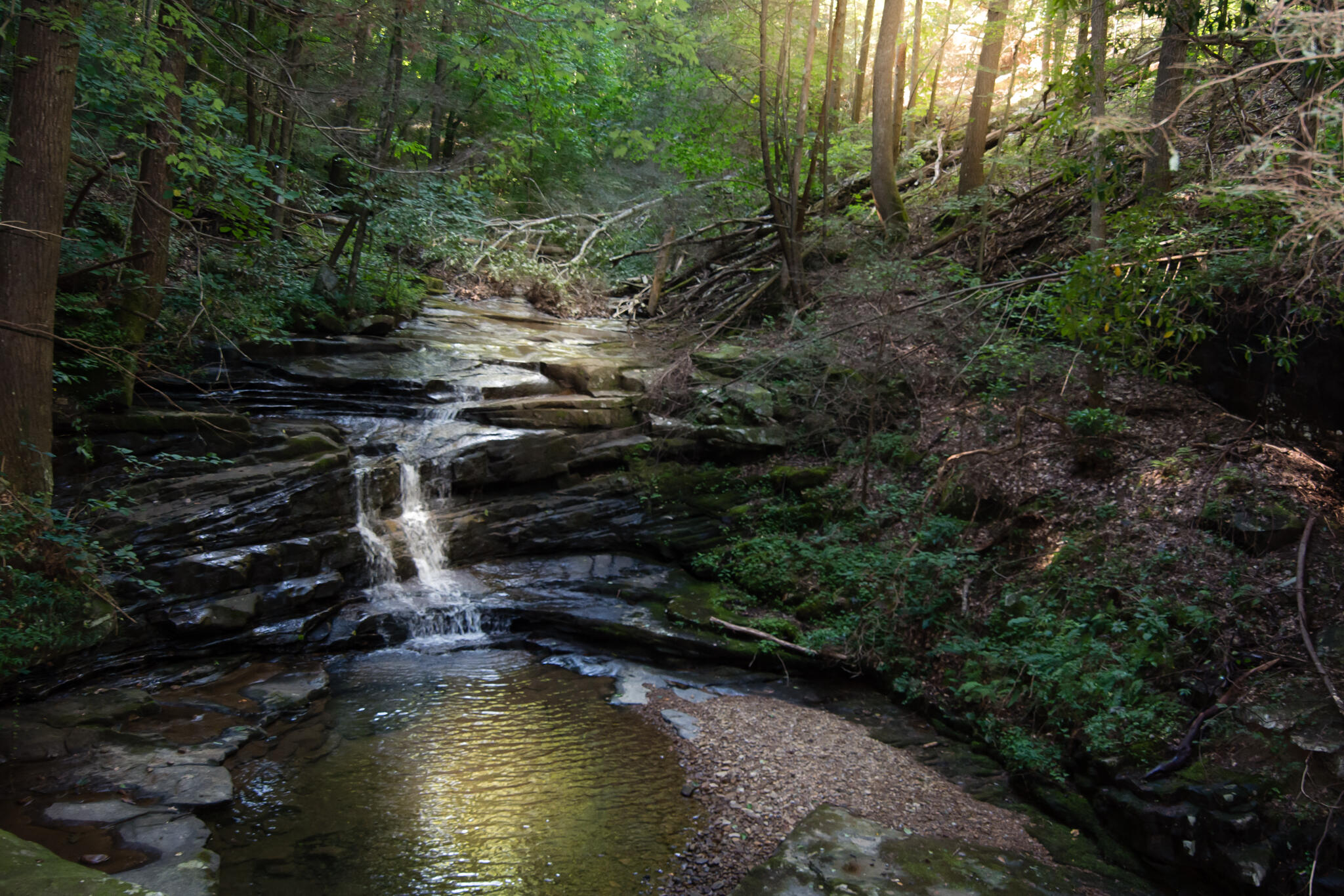 1347 Roaring Creek Road Dunlap, TN 37327 - Photo 61 of 89 Big Falls Creek 3