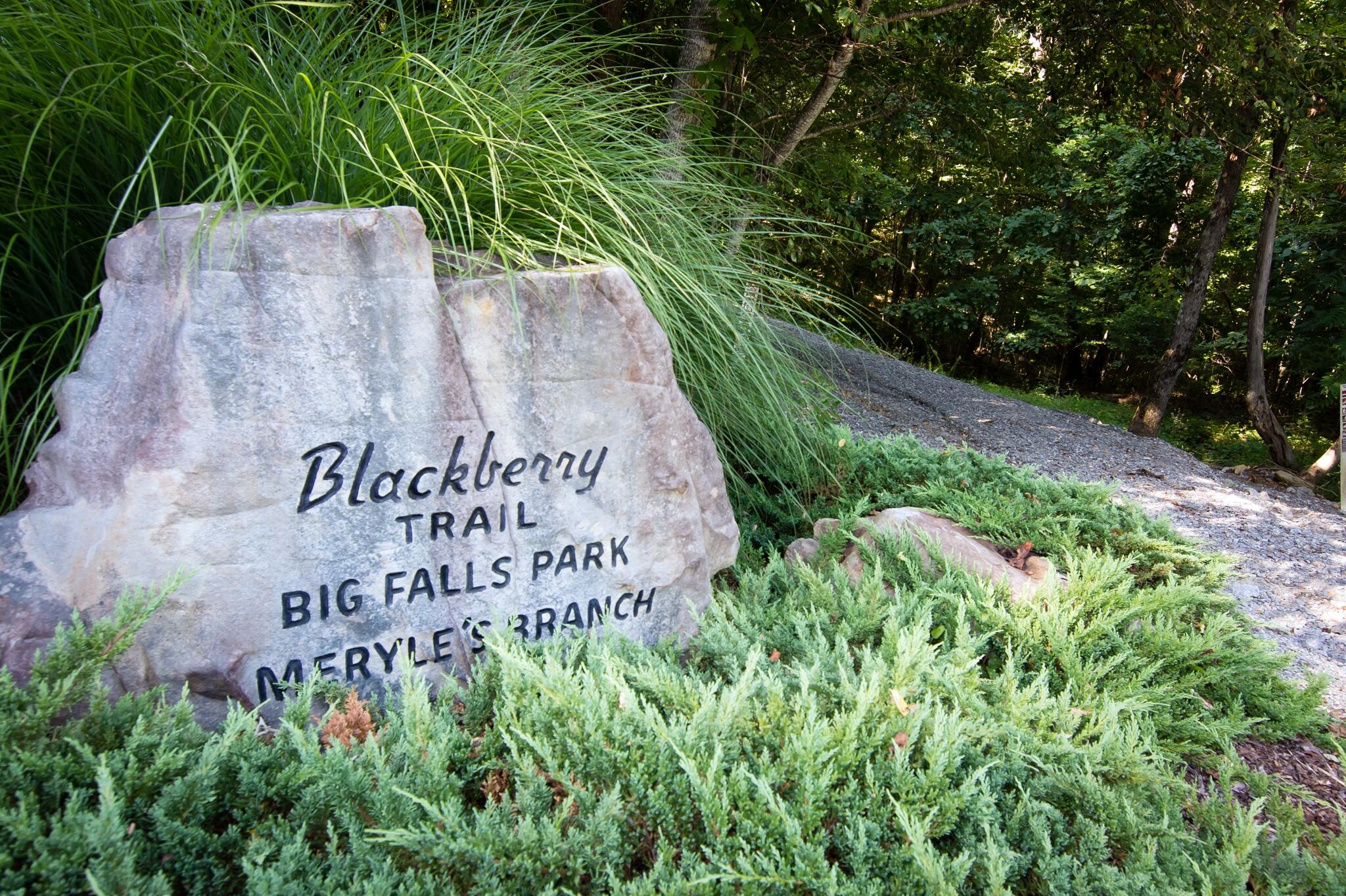 1347 Roaring Creek Road Dunlap, TN 37327 - Photo 65 of 89 Black Berry Trailhead